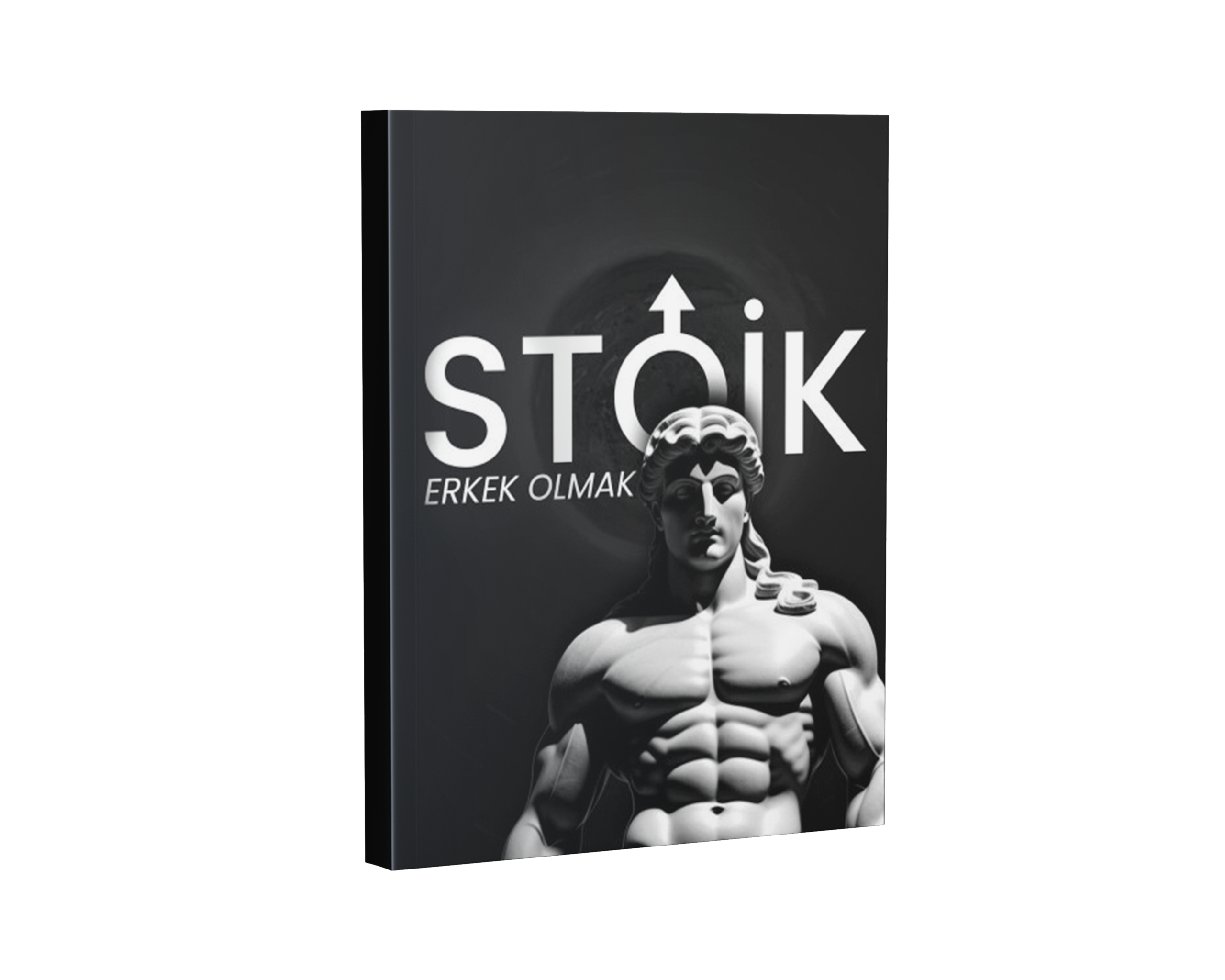 Stoik Erkek Olma Rehberi